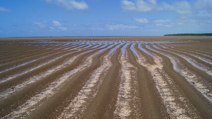 sand waves on the beach