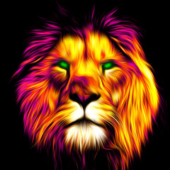 Fototapeta premium Lion head illustration on black background