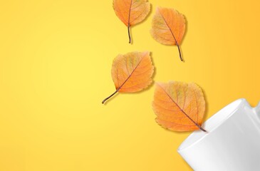 Autumn leaves with ceramic cup on color background.