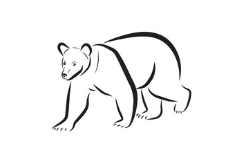Bear vector isolated on white. Grizzly bear, Wild animal icon.