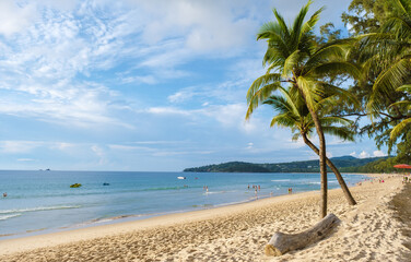 Palm trees during sunset on the beach of Bang Tao beach Phuket Thailand.