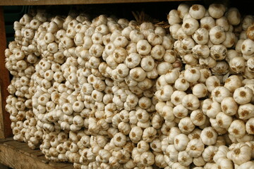 Bushels of garlic in the marketplace