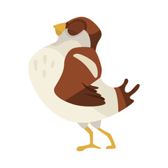 Proud sparrow turning away cartoon illustration. Cute funny small brown bird with wings on hips on white background. Animal, wildlife concept.