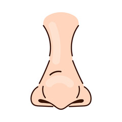 Bulbous nose of Caucasian person cartoon illustration. Nose of white person with rounded tip, part of human face on white background. Rhinoplasty, anatomy, surgery, breathing, medicine concept