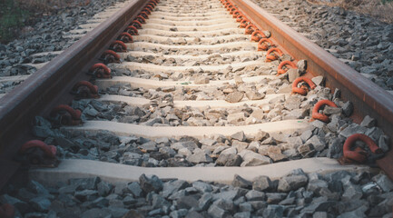 railroad track in the forest