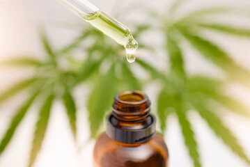 Dropper, glass bottle and cbd oil for holistic healthcare, pain management or stress control in anxiety, depression or ptsd relief. Zoom, cannabis leaf or marijuana medicine product from weed extract