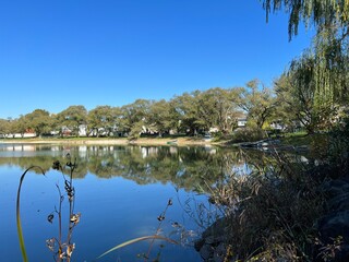 lake in autumn