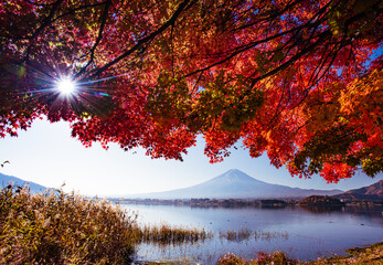 富士山と紅葉,