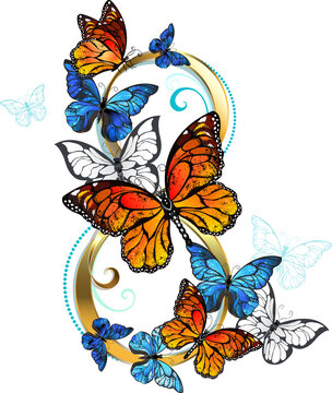 Eight of Monarch Butterflies