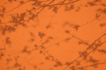 Abstract cherry tree flowered branches shadows on orange concrete wall texture. Abstract trendy colored nature concept background. Copy space for text overlay, poster mockup flat lay 