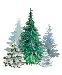 christmas tree isolated on white