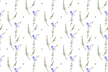 Wild herbs and flowers colourful seamless pattern repeat use of chicory and horsetail