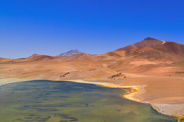 Laguna con flamencos ubicada en un salar en el altiplano del desierto de atacama