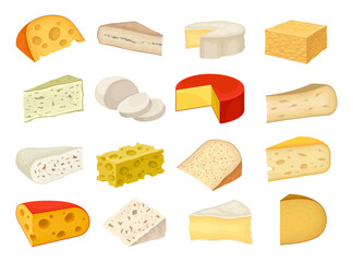 Various Types of Cheese Slabs as Gourmet Dairy Product Big Vector Set - obrazy, fototapety, plakaty