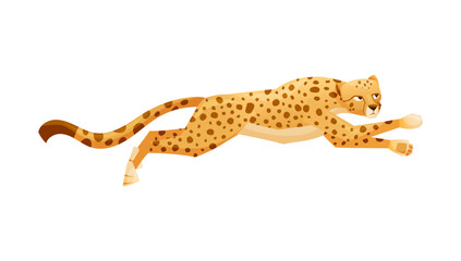 Fototapeta na wymiar Running Cheetah as African Large Cat with Long Tail and Black Spots on Coat Vector Illustration