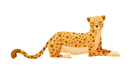 Lying Cheetah as African Large Cat with Long Tail and Black Spots on Coat Vector Illustration