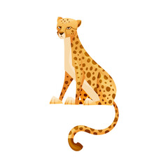 Sitting Cheetah as African Large Cat with Long Tail and Black Spots on Coat Vector Illustration