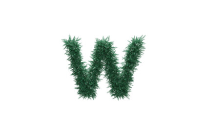 Lowercase letter W from Christmas tree twigs on transparent background. Christmas alphabet. Letters from Christmas tree branches without decorations. 3d illustration
