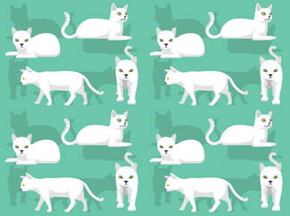 Cat Burmilla Poses Cute Character Seamless Wallpaper Background