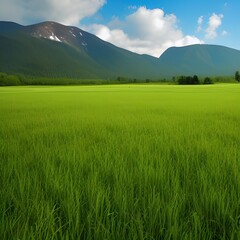 Obraz premium Green Grass Field Near Mountain