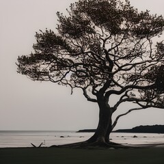 Landscape Photography of Tree and Sea 