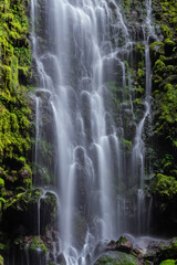 Fototapeta na wymiar Scenic Waterfall Landscape in deep forest