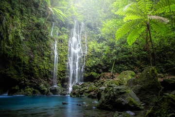 Scenic Waterfall Landscape in deep forest