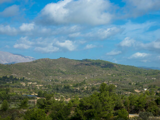 Obraz premium Panoramic view of typical greek mediterranean landscape with hill, fir trees and bushes. Tourism and vacations concept. Rhodos Island, Greece.