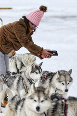 Siberian Husky on the lake