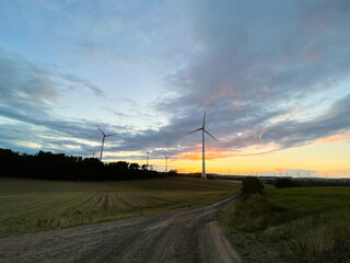 Panoramic view of wind farm or wind park on sundown, with high wind turbines for generation electricity with copy space. Green energy concept.