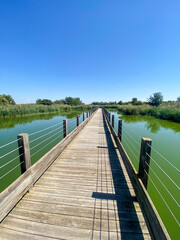 Obraz premium Réserve naturelle de l'étang du Méjean à Lattes, Occitanie