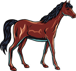 Beautiful Elegant Feminine Horse Equestrian