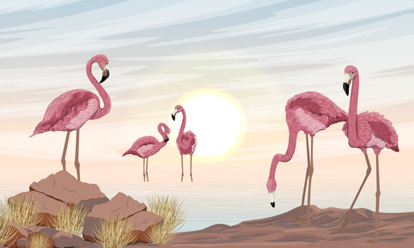 A flock of red flamingos on the seashore. Phoenicopterus ruber or Caribbean flamingo. Wild birds of South America, Galapagos and Caribbean islands. Realistic vector landscape
