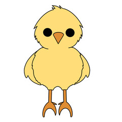 Chick color illustration
