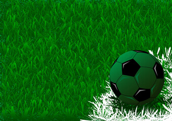 Fototapeta premium ball on football field background is so cool