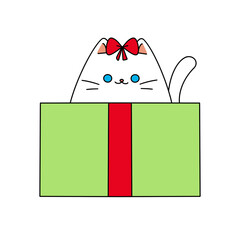 Cat in gift box pencil color illustration