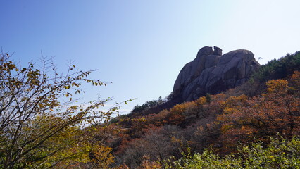 Autumn Leaves and Odd Rocks
