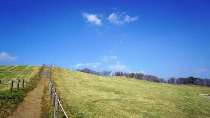 Fototapeta na wymiar a walk next to a meadow with white clouds in the blue sky