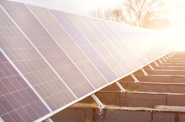 Photovoltaic solar panels for producing alternative ecological electricity at autumn sunset....
