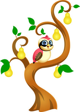The 12 Days of Christmas - 1-St Day - A Partridge In A Pear Tree. Vector Hand Drawn Illustration Isolated On Transparent Background