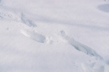 Footprints in the white snow. Precipitation in winter. The cold period of the year. Snowdrifts in winter.