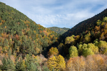 An autumnal valley with orange, yellow and green trees.