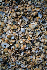 An intimate place by the sea that awaits tourists.