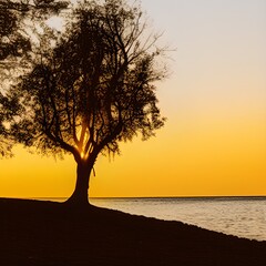 Silhouette of Tree Near Body of Water during Golden Hour