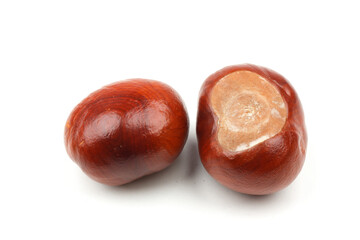 closeup of two chestnuts isolated on white background with some real shadows.
