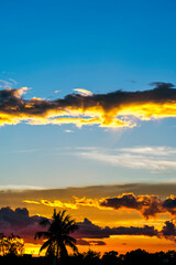Fototapeta premium Silhouette of an urban city, tree and beautiful cloud formation at sunset
