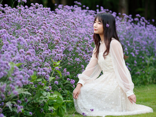 Beautiful woman in white dress squatting in purple Verbena Bonariensis flower field, charming Chinese girl with black long hair enjoy her leisure time outdoor.