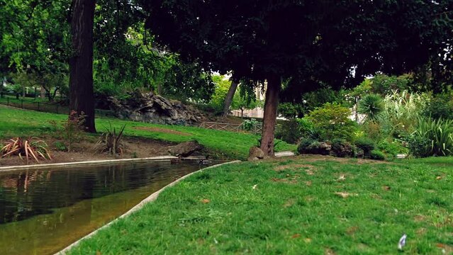 A walk in a beautiful green parc , with green trees and grass