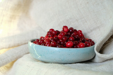 Cranberries in the blue ceramic bowl. Hemp tablecloth. Sunlight.