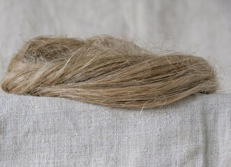 The tow of natural hemp or flax on the hemp fabric background. Growing demand for natural fibers.